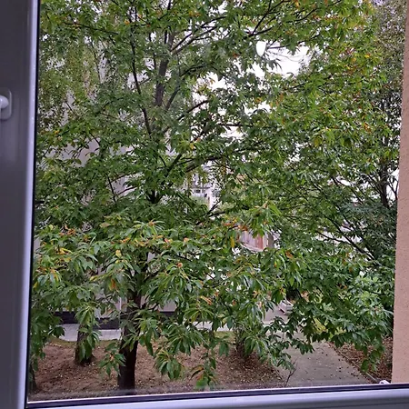 Blízko Centra * Topoľčany