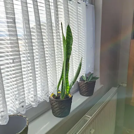 Blizko Centra Apartment